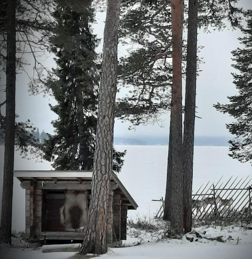 Appartement Norva *