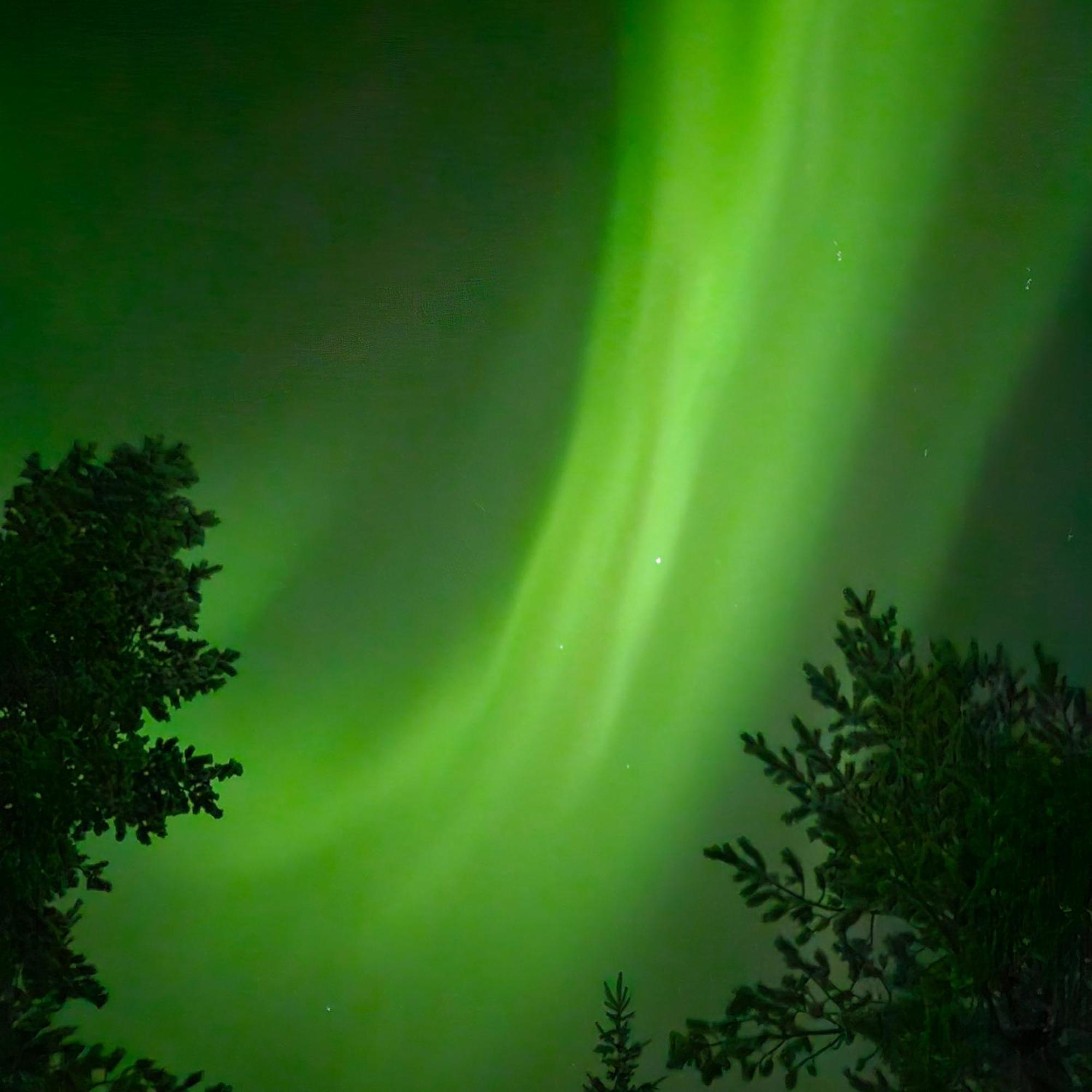 Norva Rovaniemi