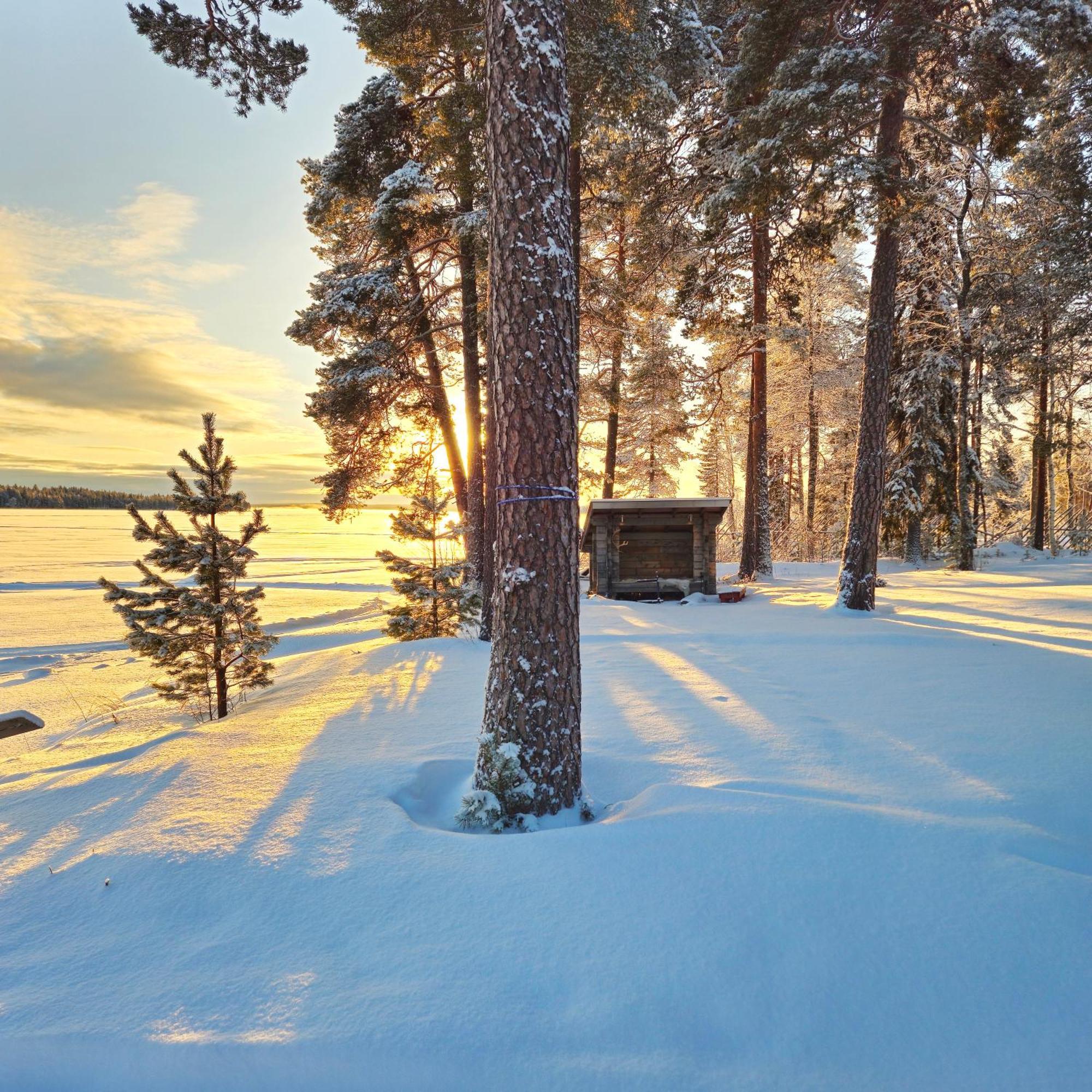 Norva Rovaniemi